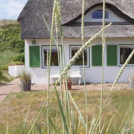 Mini House Ii